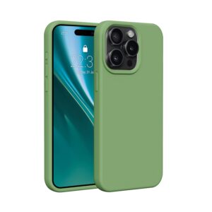 Etteri Silicone case for iPhone 15 Pro Max 6,7" light green